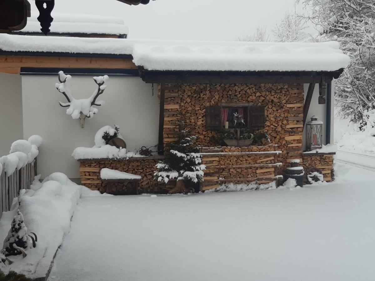 Haus Wildschuetz Apartment Hippach Exterior photo